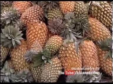 Vazhakulam Pineapple